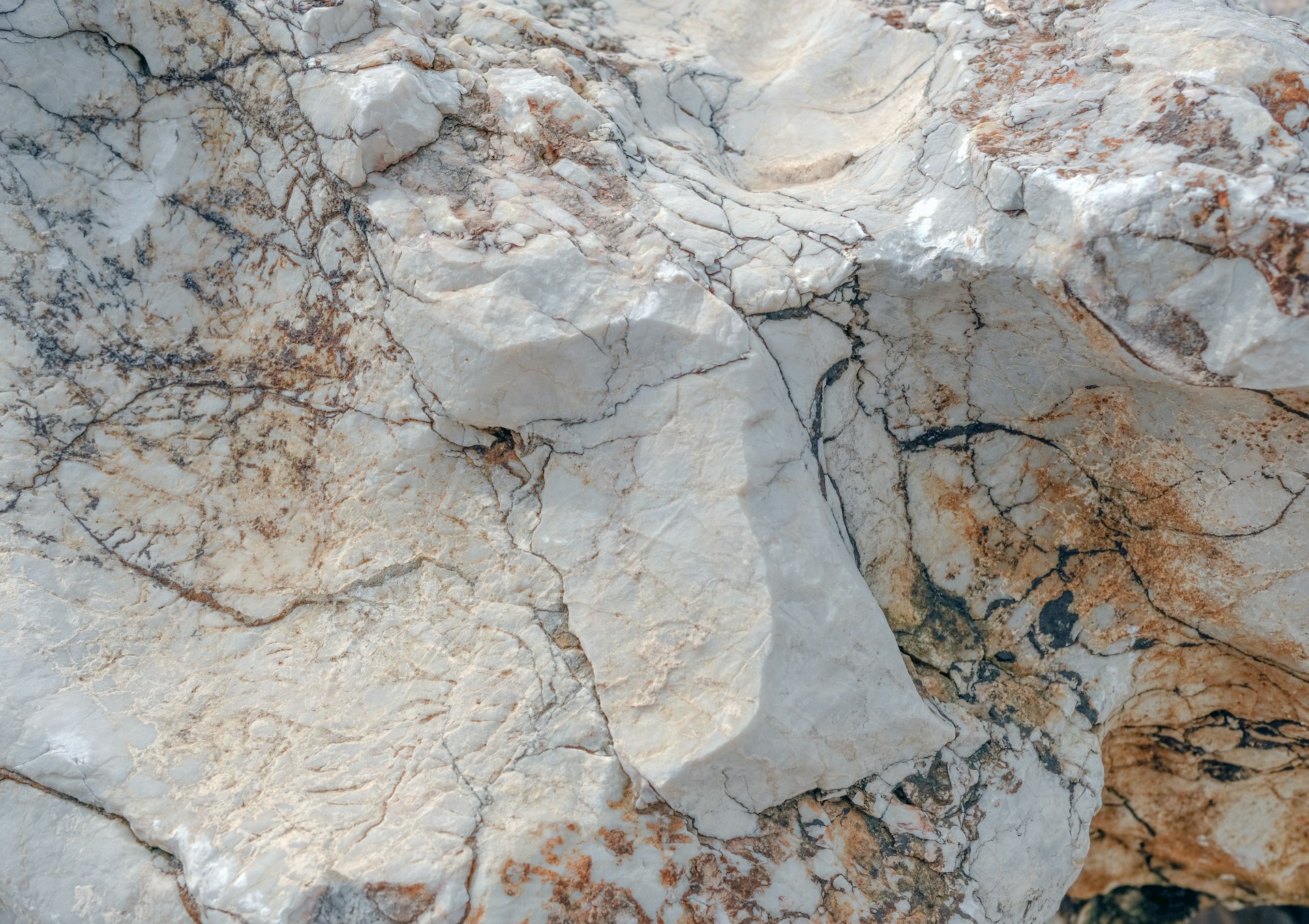 A close up of a rock with a black and white design on it